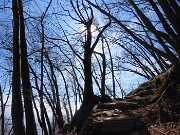 Festa di fiori sui sentieri per il Monte Ubione-19mar24